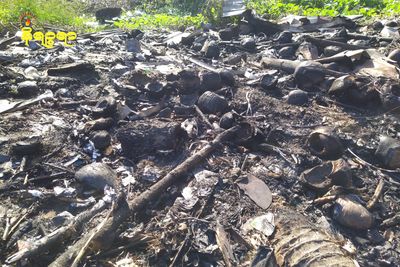 စစ်တွေမြို့ လဝကဝန်ထမ်းအိမ်ယာအနီး အမှိုက်ပုံ မီးလောင်မှုဖြစ်ပွား
