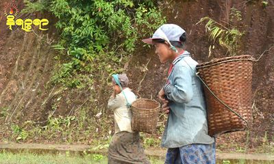 ပုဏ္ဏားကျွန်းမြို့နယ်မှ တောင်ယာလုပ်သူများ တော၊ တောင်များသို့မသွားရဲ၍ စားဝတ်နေရေးအခက်ကြုံနေ