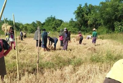 အပစ်အခတ်ရပ်နားနေချိန် ရခိုင်စစ်ဘေးရှောင်ခြောက်သောင်းကျော် နေရပ်သို့ယာယီပြန်