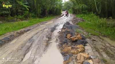 မြောက်ဦးမြို့နယ်မှ ရွာ ၆ ရွာ အားထားနေရသည့် တိမ်ညို-တောင်မြင့်လမ်းပျက်စီးနေ၍ ဒေသခံများသွားလာရအခက်ကြုံ