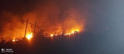 ပုဏ္ဏားကျွန်းမြို့နယ် ကျောက်ဆိပ်ကျေးရွာအနီး ၁၁ နာရီကျော်အကြာ တောမီးလောင်ခဲ့