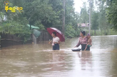 ကုလားတန်မြစ်ရေမြင့်တက်မှုကြောင့် ကျောက်တော်မြို့နယ် ကျေးရွာအများအပြားရေနစ်မြုပ်နေ (ဓာတ်ပုံသတင်း)