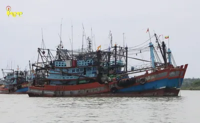 ရခိုင်တွင် သမားရိုးကျမဟုတ်သည့်နည်းလမ်းများကိုအသုံးပြု ပြီး ငါးဖမ်းခြင်းအပါအဝင် စည်းကမ်းမဲ့ငါးဖမ်းခြင်းများကြောင့် ရေသယံဇာတ ငါး၊ ပုဇွန်များရှားပါးလာ