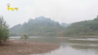 စစ်ကောင်စီနေဗီမှ တောင်ကုတ်မြို့နှင့် ၆ မိုင် ၇မိုင်အကွာ ကျေးရွာများအနီးသို့  လက်နက်ကြီးပစ်ခတ် 