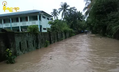 မိုးအဆက်မပြတ်ရွာသွန်း၍ မြစ်ရေကြီးသဖြင့် မြောက်ဦး၊ မင်းပြားနှင့် ကျောက်တော်မြို့နယ်တို့တွင် ကျေးရွာများ ရေနစ်မြုပ်